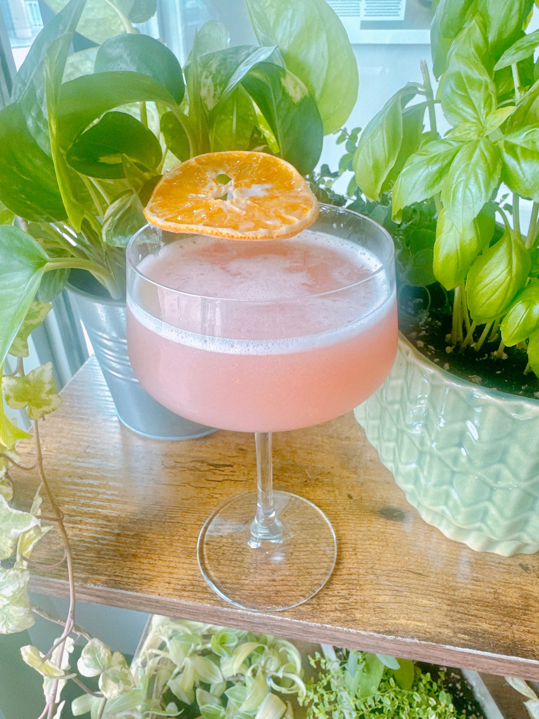 Citrus Marmalade Cosmo